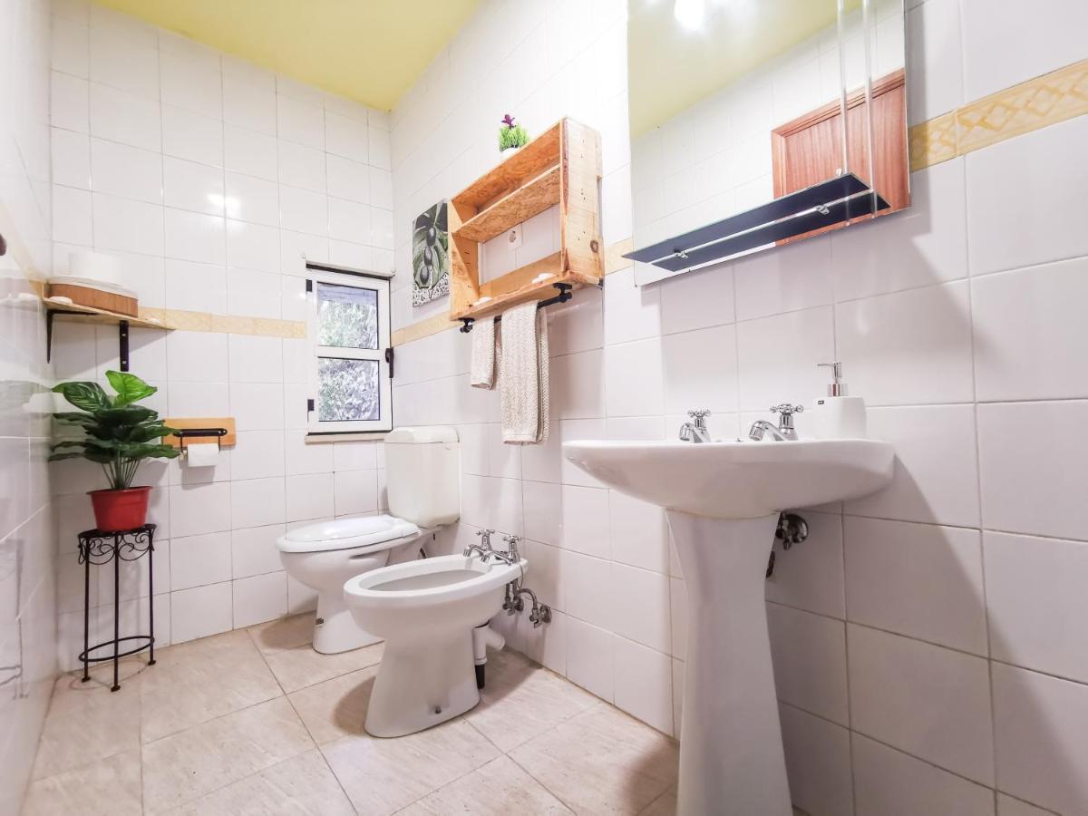 Вілла Casa Poema Next To River Tejo & Zezere Констансія Екстер'єр фото
